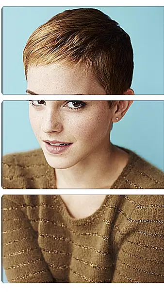 Модульная картина - Эмма Уотсон. Emma Watson Модульная картина - Эмма Уотсон. Emma Watson