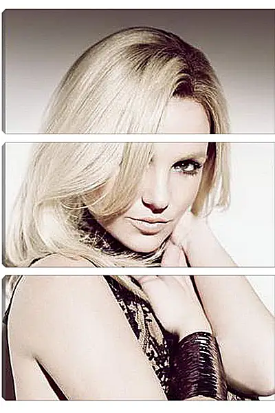 Модульная картина - Britney Spears - Бритни Спирс
Модульная картина - Britney Spears - Бритни Спирс