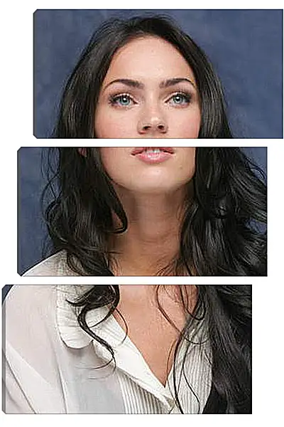 Модульная картина - Megan Fox - Меган Фокс
Модульная картина - Megan Fox - Меган Фокс