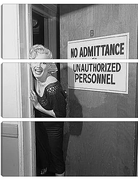 Модульная картина - Marilyn Monroe - Мэрилин Монро
Модульная картина - Marilyn Monroe - Мэрилин Монро