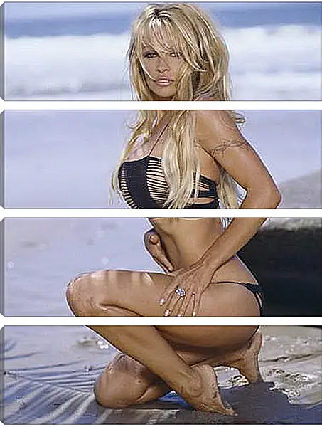 Модульная картина - Pamela Anderson - Памела Андерсон
Модульная картина - Pamela Anderson - Памела Андерсон