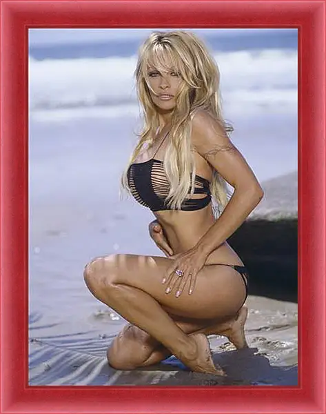 Картина в раме - Pamela Anderson - Памела Андерсон
Картина в раме - Pamela Anderson - Памела Андерсон
