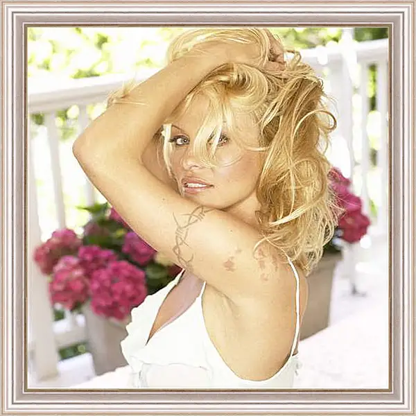 Картина в раме - Pamela Anderson - Памела Андерсон
Картина в раме - Pamela Anderson - Памела Андерсон