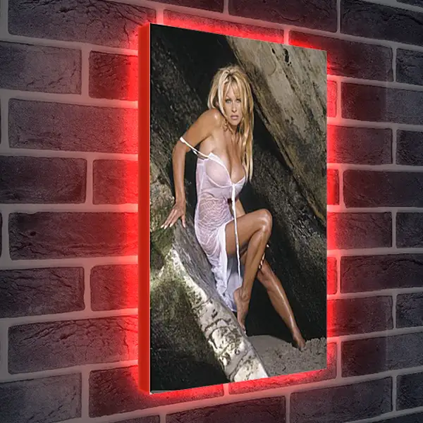 Лайтбокс световая панель - Pamela Anderson - Памела Андерсон
Лайтбокс световая панель - Pamela Anderson - Памела Андерсон