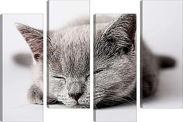 Модульная картина - Котенок Модульная картина - Котенок