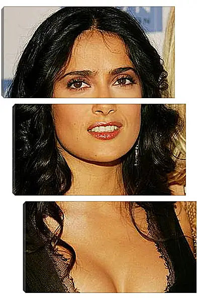 Модульная картина - Salma Hayek - Салма Хайек
Модульная картина - Salma Hayek - Салма Хайек