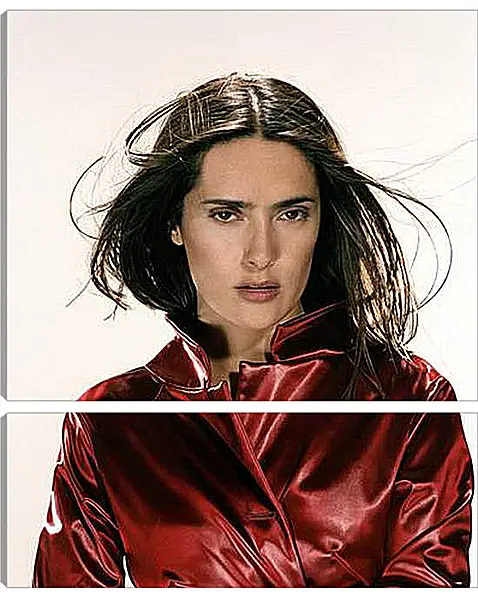 Модульная картина - Salma Hayek - Салма Хайек
Модульная картина - Salma Hayek - Салма Хайек