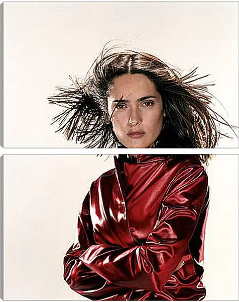 Модульная картина - Salma Hayek - Салма Хайек
Модульная картина - Salma Hayek - Салма Хайек