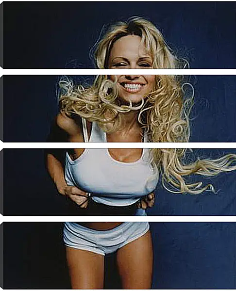 Модульная картина - Pamela Anderson - Памела Андерсон
Модульная картина - Pamela Anderson - Памела Андерсон