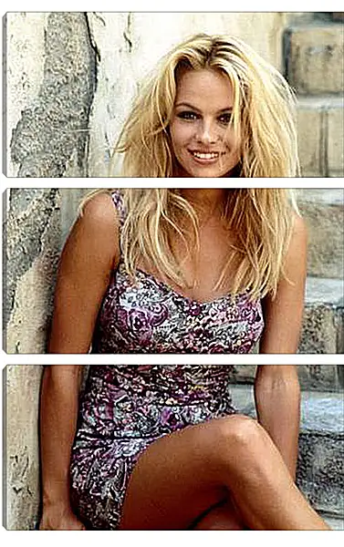 Модульная картина - Pamela Anderson - Памела Андерсон
Модульная картина - Pamela Anderson - Памела Андерсон