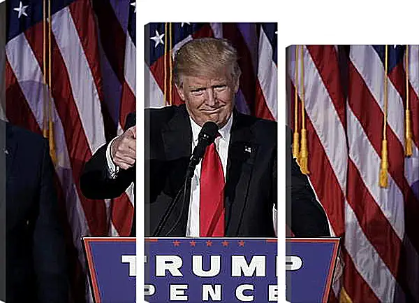 Модульная картина - Дональд Трамп Модульная картина - Дональд Трамп