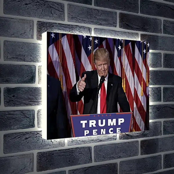 Лайтбокс световая панель - Дональд Трамп Лайтбокс световая панель - Дональд Трамп