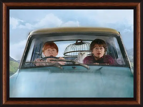 Картина в раме - Harry Potter and the Chamber of Secrets Картина в раме - Harry Potter and the Chamber of Secrets