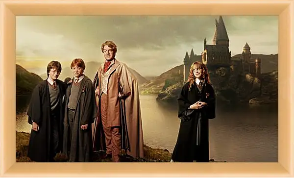 Картина в раме - Harry Potter Картина в раме - Harry Potter