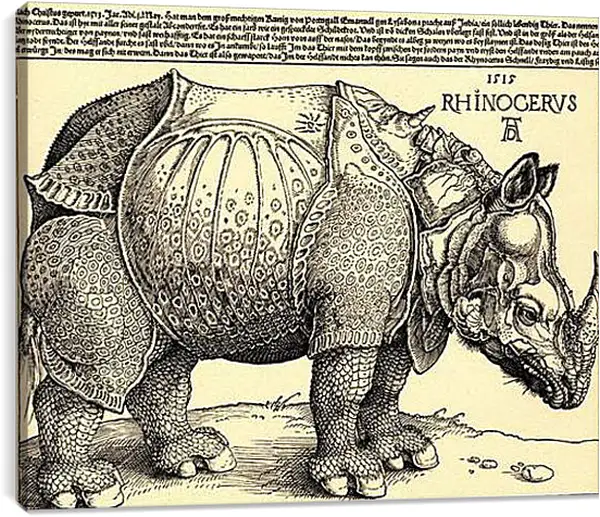 Постер на подрамнике - Rhinoceros. Носорог. Альбрехт Дюрер Постер на подрамнике - Rhinoceros. Носорог. Альбрехт Дюрер