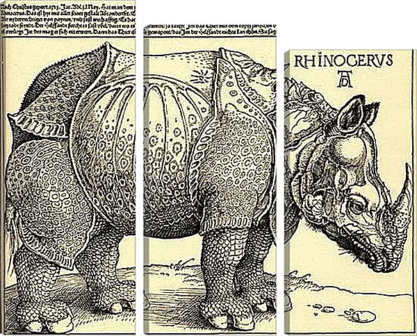 Модульная картина - Rhinoceros. Альбрехт Дюрер
Модульная картина - Rhinoceros. Альбрехт Дюрер