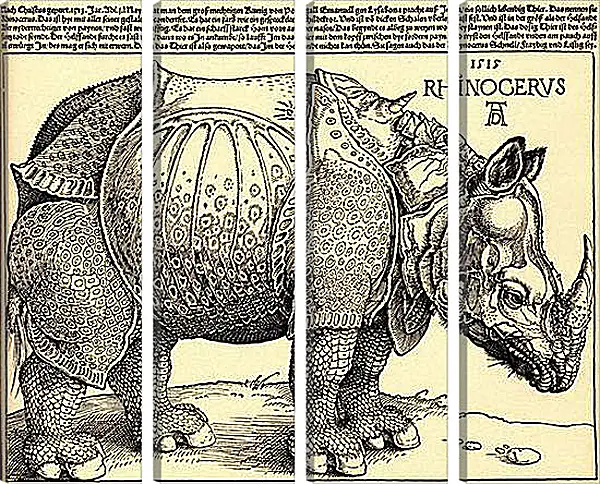 Модульная картина - Rhinoceros. Носорог. Альбрехт Дюрер Модульная картина - Rhinoceros. Носорог. Альбрехт Дюрер