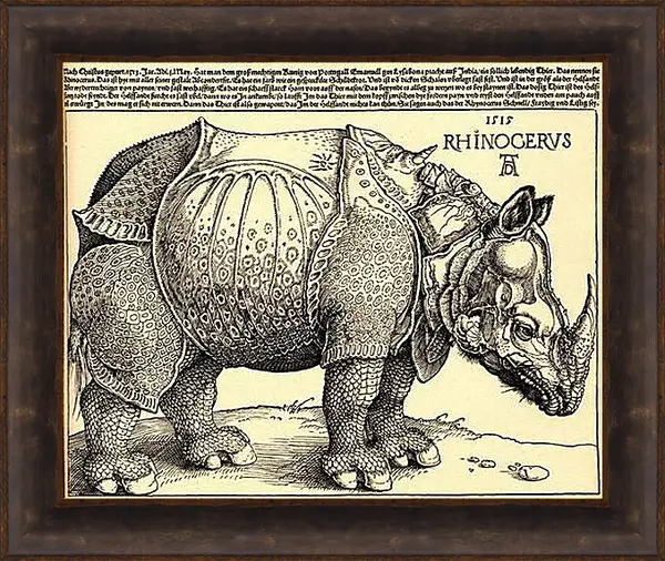 Картина в раме - Rhinoceros. Альбрехт Дюрер
Картина в раме - Rhinoceros. Альбрехт Дюрер