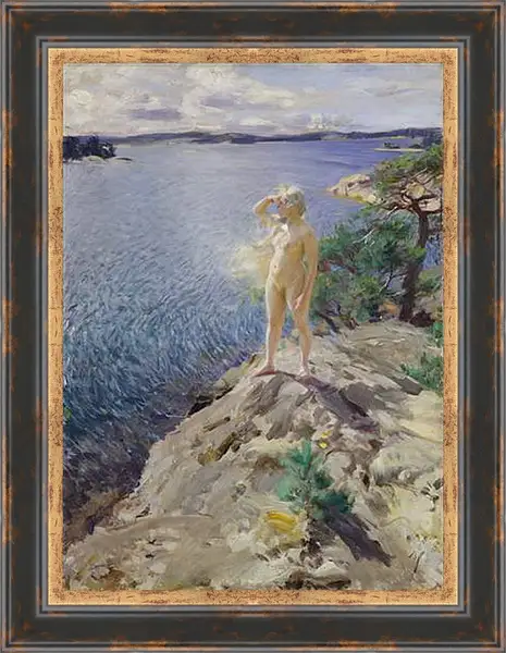 Картина в раме - на шхерах. Андерс Цорн
Картина в раме - на шхерах. Андерс Цорн