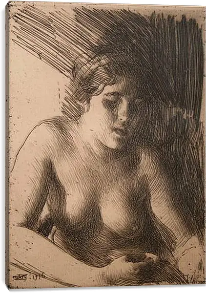Постер на подрамнике - Bust - Бюст. Андерс Цорн
Постер на подрамнике - Bust - Бюст. Андерс Цорн