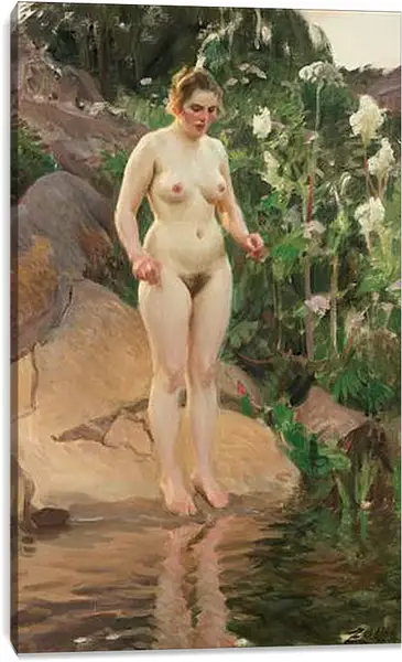 Постер на подрамнике - Archipelago flower. Архипелаг цветов. Андерс Цорн Постер на подрамнике - Archipelago flower. Архипелаг цветов. Андерс Цорн