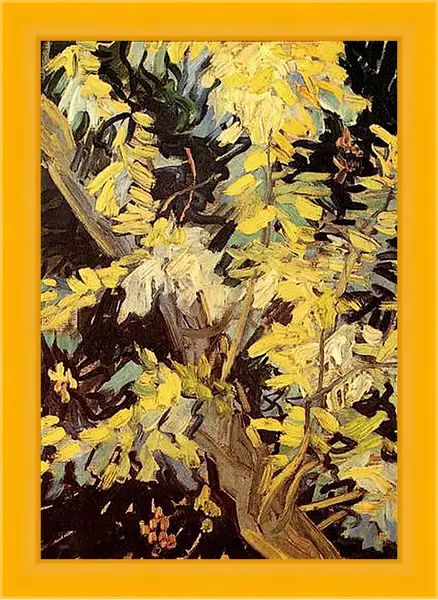 Картина в раме - Blossoming Acacia Branches. Винсент Ван Гог
Картина в раме - Blossoming Acacia Branches. Винсент Ван Гог