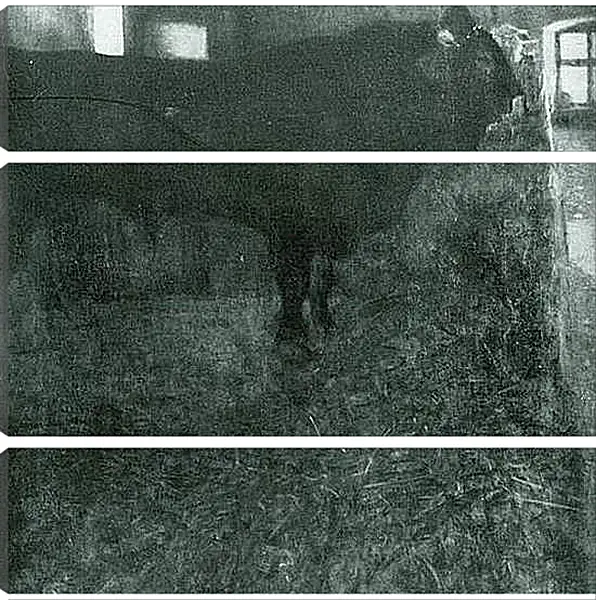Модульная картина - Der schwarze Stier. Густав Климт
Модульная картина - Der schwarze Stier. Густав Климт