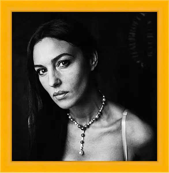 Картина в раме - Моника Беллуччи (Monica Bellucci) Картина в раме - Моника Беллуччи (Monica Bellucci)