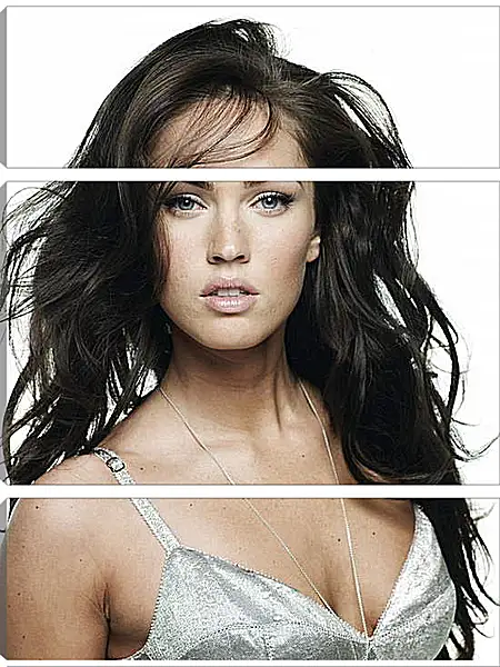 Модульная картина - Меган Фокс (Megan Fox) Модульная картина - Меган Фокс (Megan Fox)