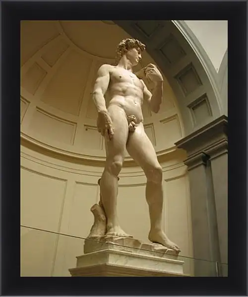 Картина в раме - David. Микеланджело Буонарроти Картина в раме - David. Микеланджело Буонарроти
