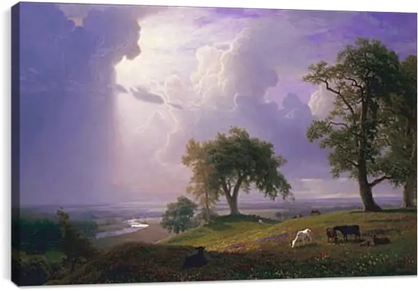 Постер на подрамнике - California Spring Постер на подрамнике - California Spring