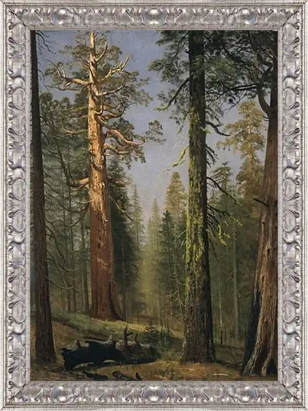 Картина в раме - The Grizzly Giant Sequoia, Mariposa Grove, California. Альберт Бирштадт Картина в раме - The Grizzly Giant Sequoia, Mariposa Grove, California. Альберт Бирштадт