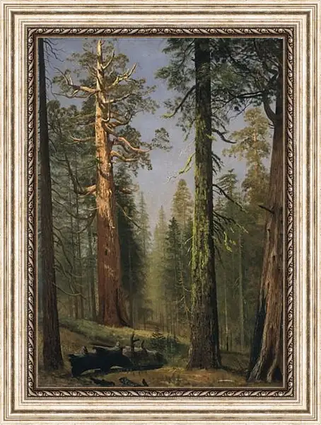 Картина в раме - The Grizzly Giant Sequoia, Mariposa Grove, California. Альберт Бирштадт Картина в раме - The Grizzly Giant Sequoia, Mariposa Grove, California. Альберт Бирштадт