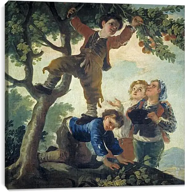 Постер на подрамнике - Boys Picking Fruit. Франсиско Гойя Постер на подрамнике - Boys Picking Fruit. Франсиско Гойя