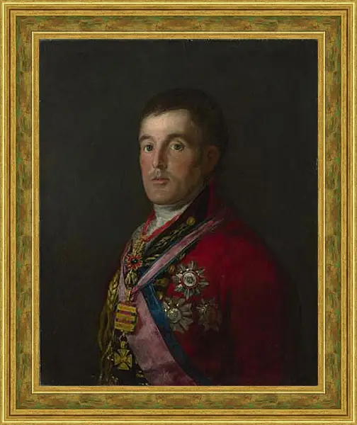 Картина в раме - The Duke of Wellington. Франсиско Гойя Картина в раме - The Duke of Wellington. Франсиско Гойя