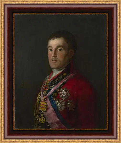 Картина в раме - The Duke of Wellington. Франсиско Гойя Картина в раме - The Duke of Wellington. Франсиско Гойя