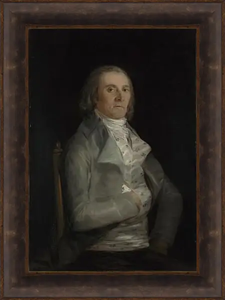 Картина в раме - Don Andres del Peral. Франсиско Гойя Картина в раме - Don Andres del Peral. Франсиско Гойя