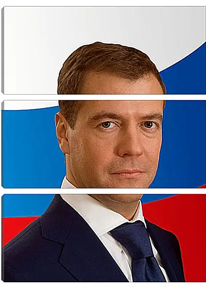 Модульная картина - Дмитрий Анатольевич Медведев Модульная картина - Дмитрий Анатольевич Медведев