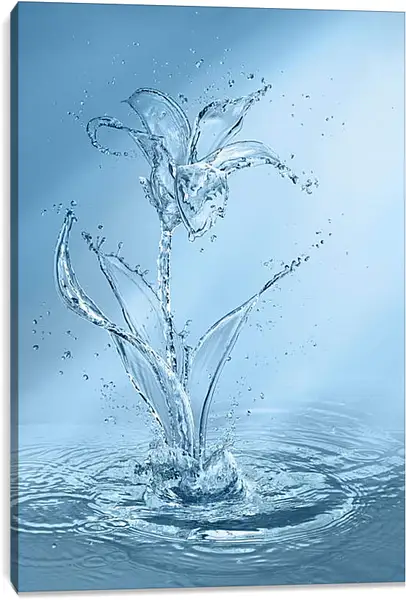 Постер на подрамнике - Цветок из воды Постер на подрамнике - Цветок из воды