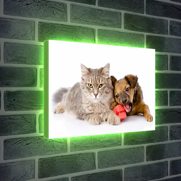 Лайтбокс световая панель - Котенок и щенок Лайтбокс световая панель - Котенок и щенок