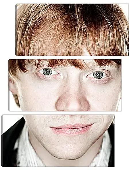 Модульная картина - Ron Weasley Модульная картина - Ron Weasley