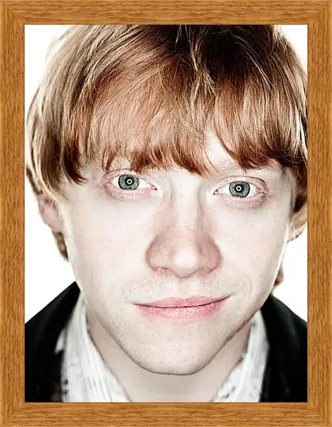 Картина в раме - Ron Weasley Картина в раме - Ron Weasley