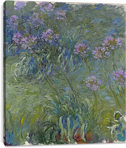 Постер на подрамнике - Agapanthus, 1914-17. Клод Моне Постер на подрамнике - Agapanthus, 1914-17. Клод Моне