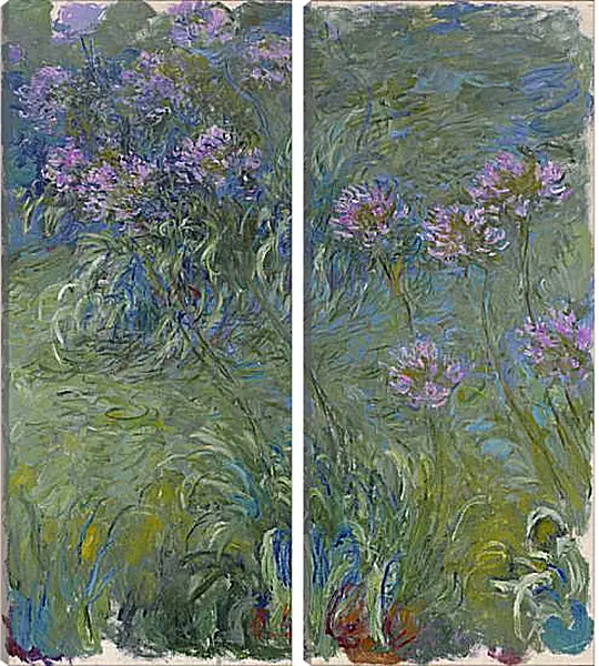 Модульная картина - Agapanthus, 1914-17 Модульная картина - Agapanthus, 1914-17