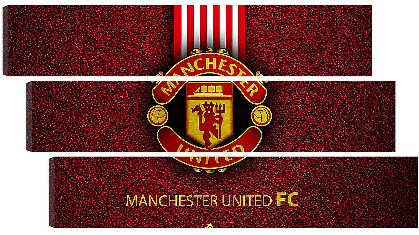 Модульная картина - Эмблема ФК Манчестер Юнайтед