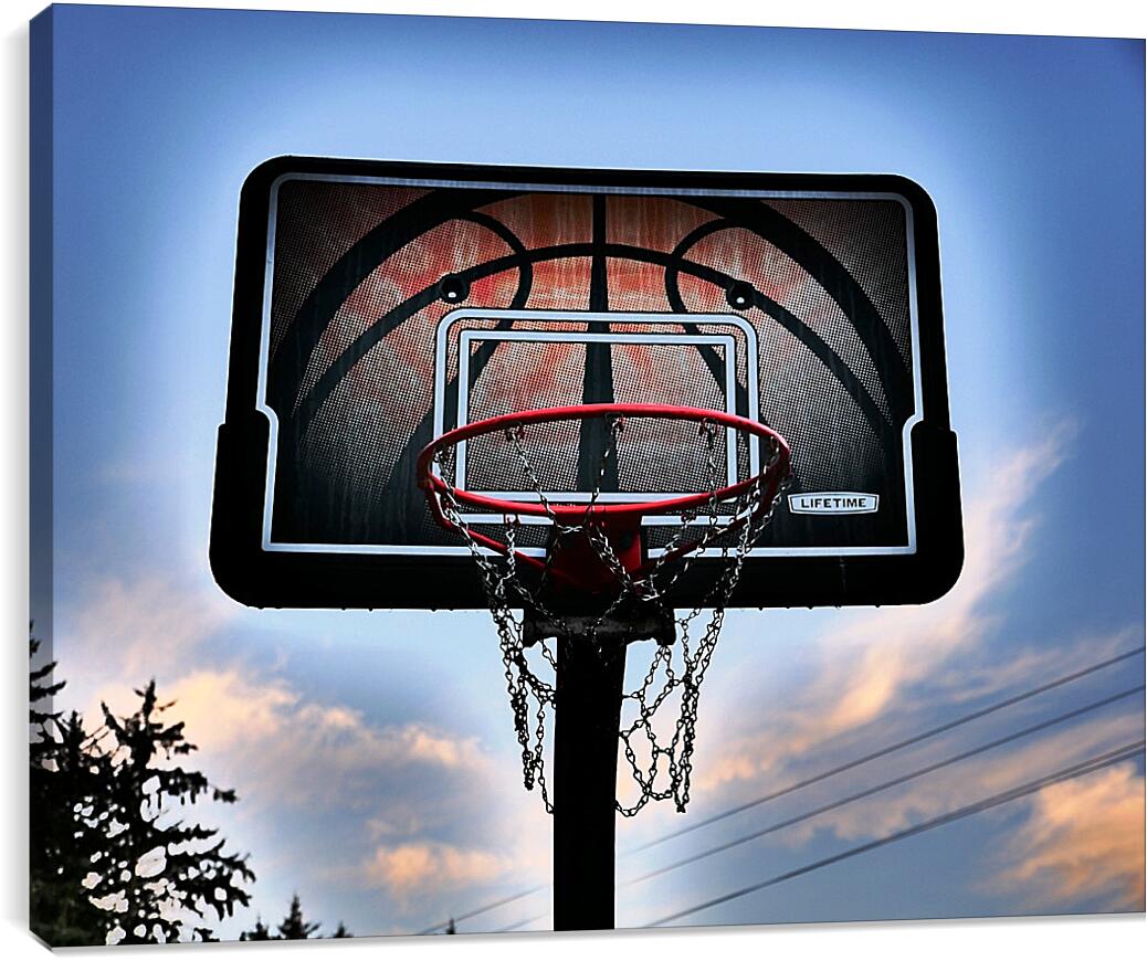 Постер и плакат - Баскетбольный щит с кольцом