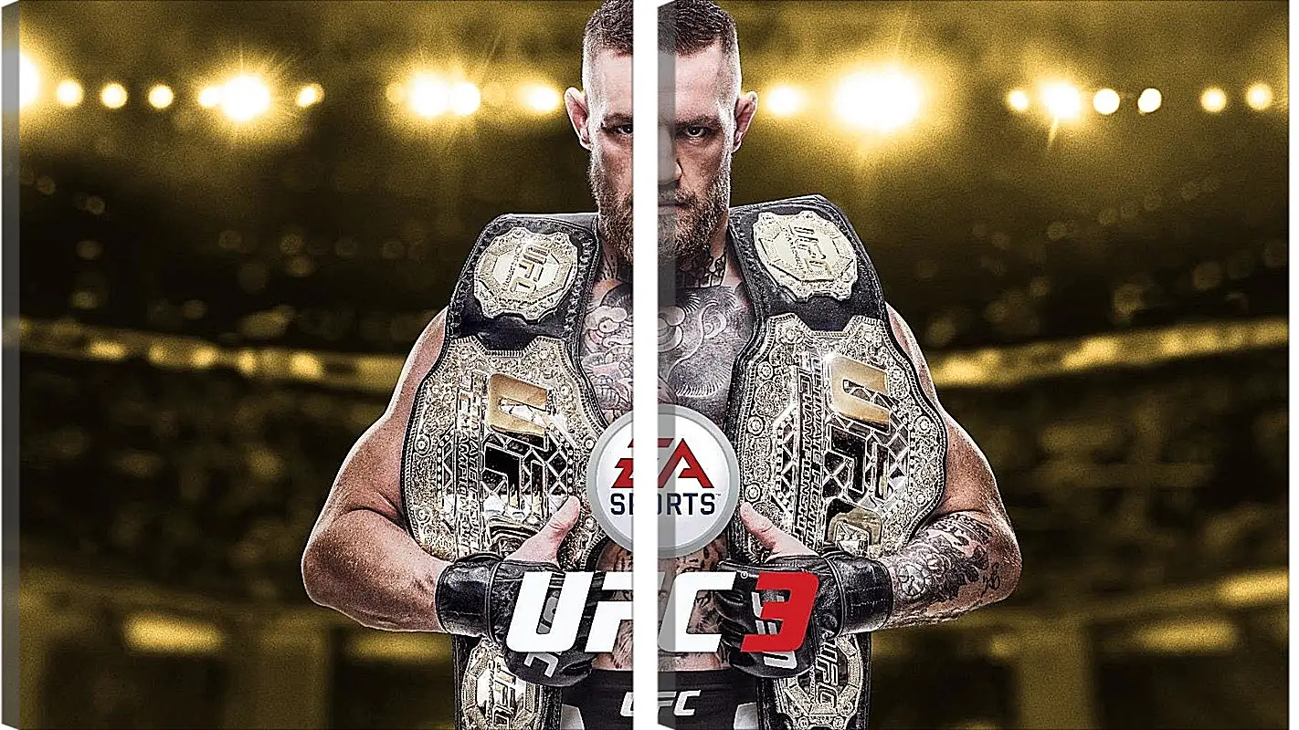 Модульная картина - UFC. Конор МакГрегор. EA Sports