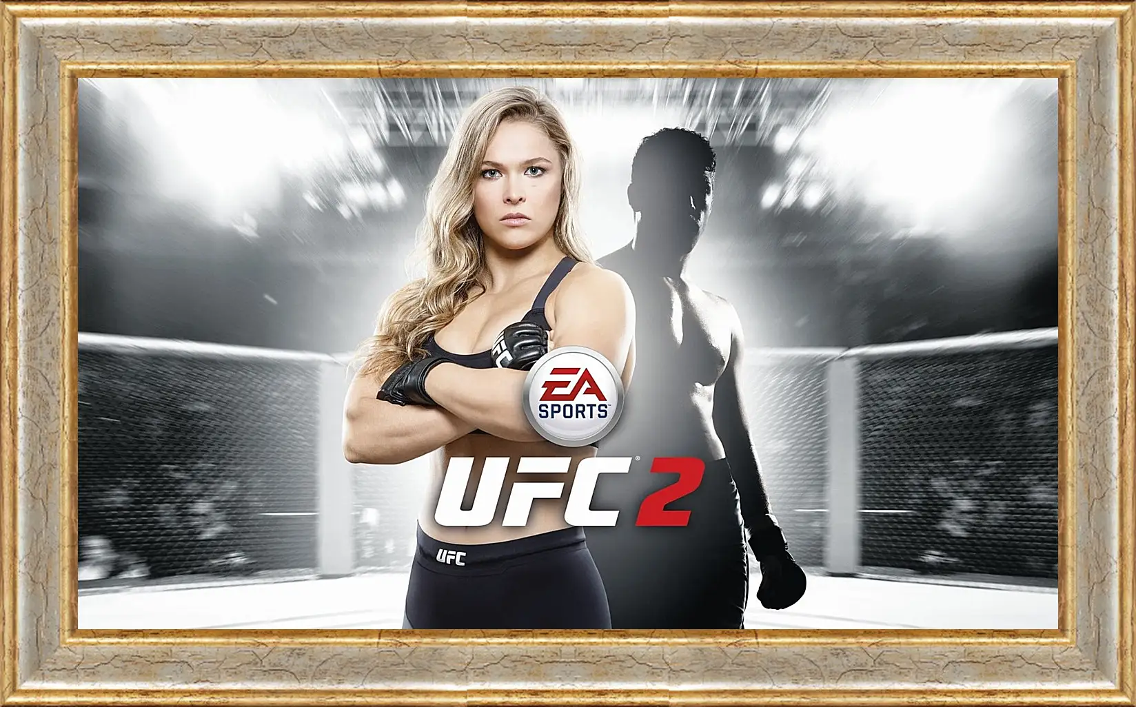 Картина в раме - UFC. Ронда Роузи. EA Sports