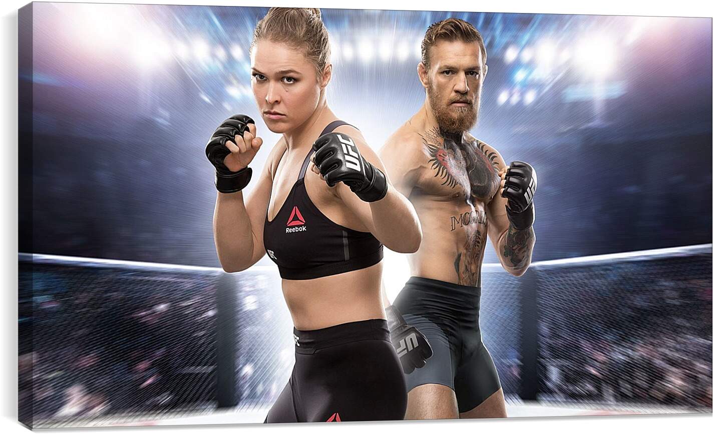 Постер и плакат - UFC. Ронда Роузи и Конор МакГрегор