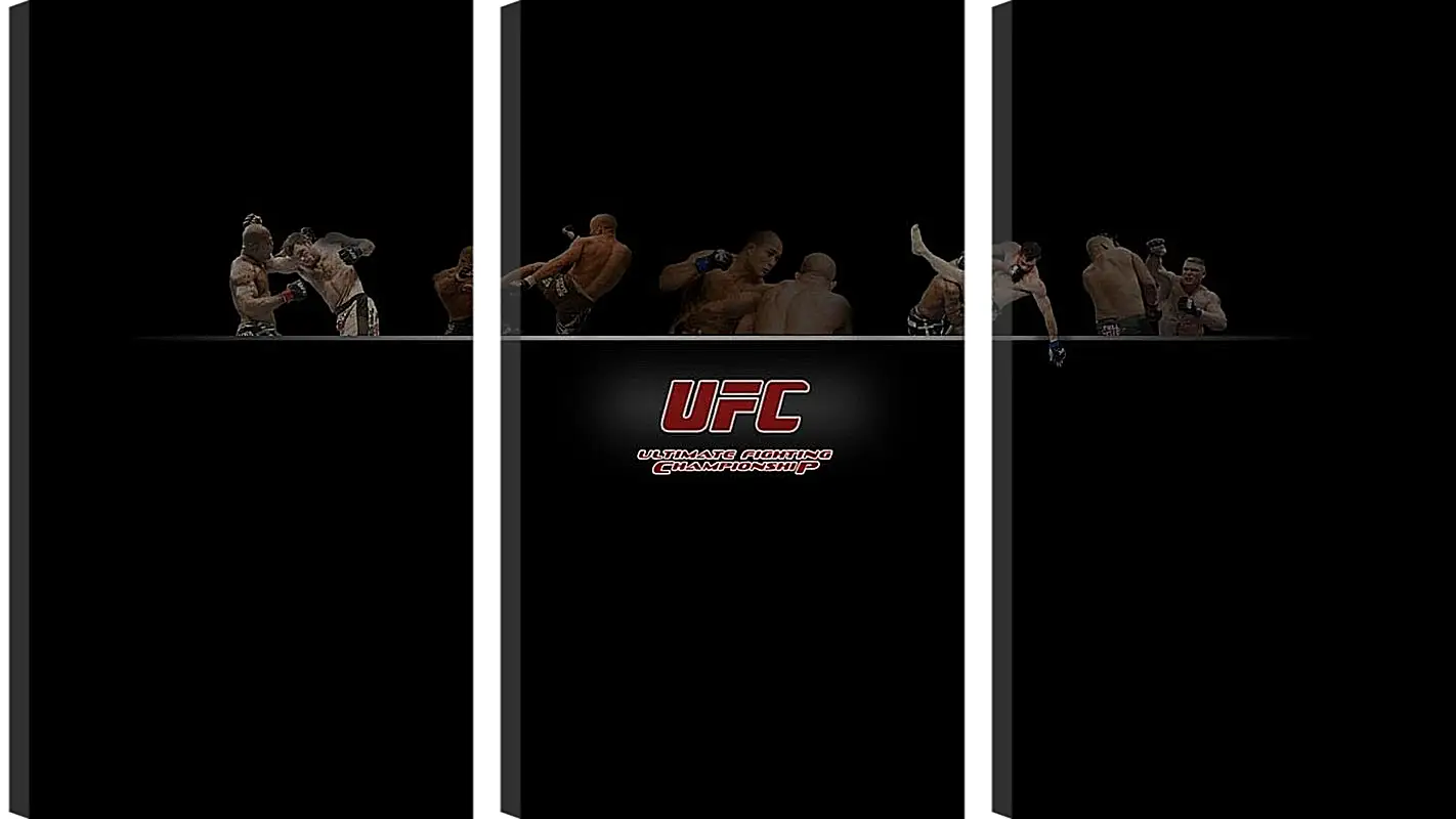 Модульная картина - UFC.